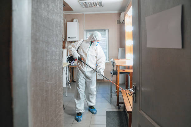 Best Biohazard Mold Removal  in Fowler, IN