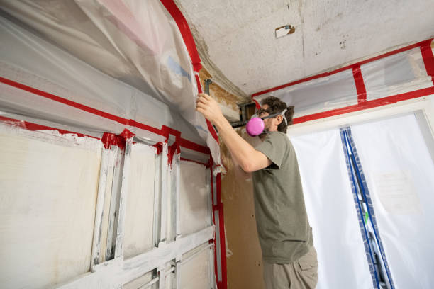Best Mold Documentation for Insurance Claims  in Fowler, IN